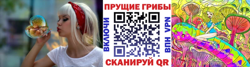 Галлюциногенные грибы мухоморы  где купить наркотик  Калуга 